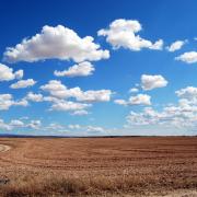 Field 533541