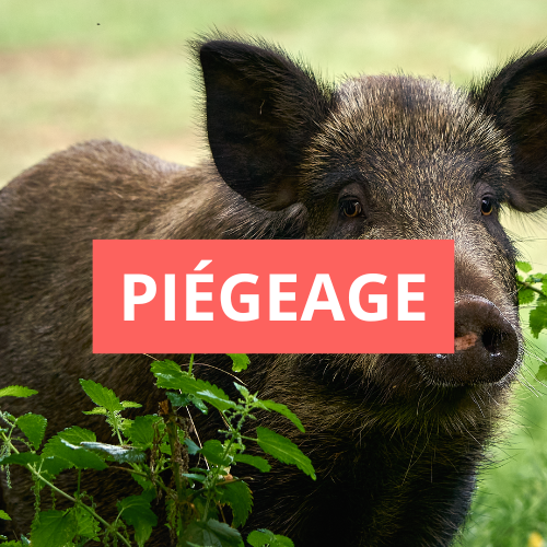 Images pour site internet 1 1