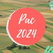 Pac 2024